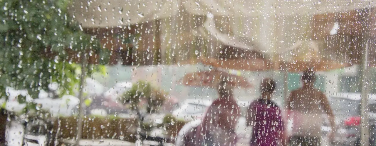 Apagones en México: cómo proteger su negocio en temporada de tormentas Apagones en México: cómo proteger su negocio en temporada de tormentas